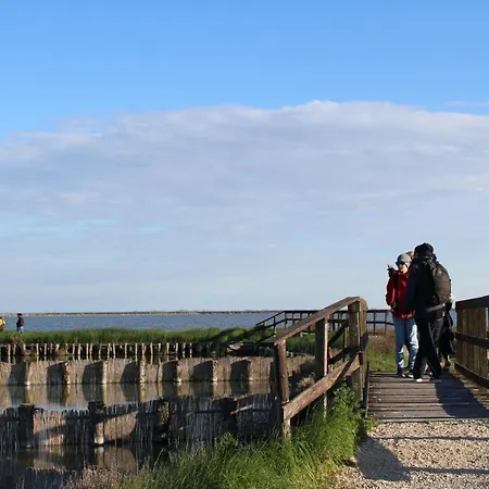 “ La Terrazza “ Comacchio