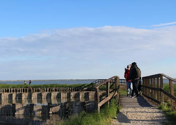 “ La Terrazza “ Comacchio